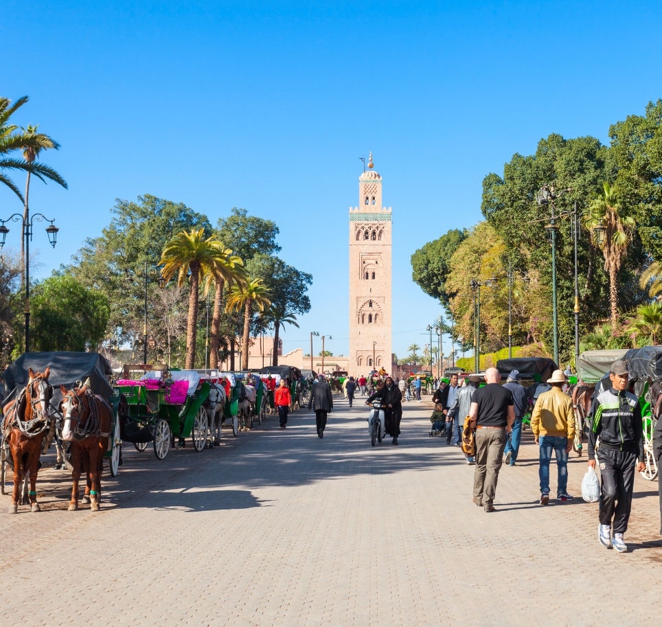 La Médina de Marrakech(3)