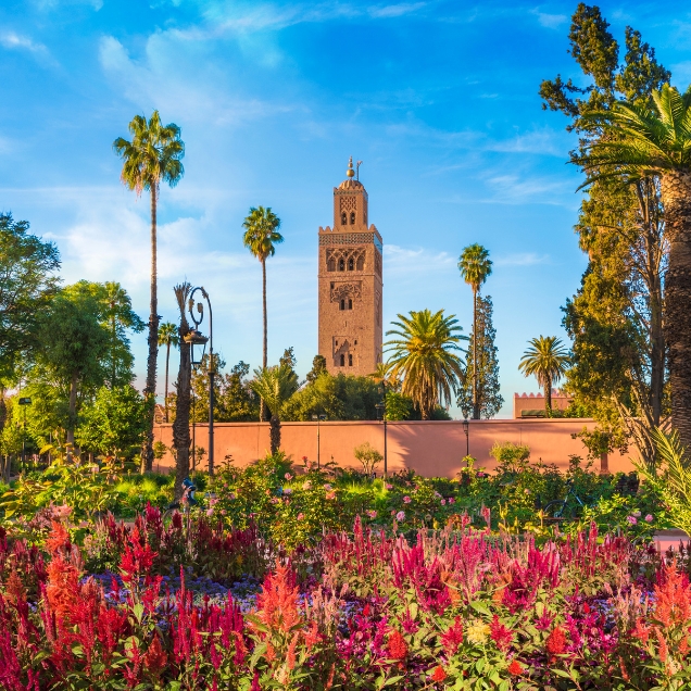 La mosquée Koutoubia(3)